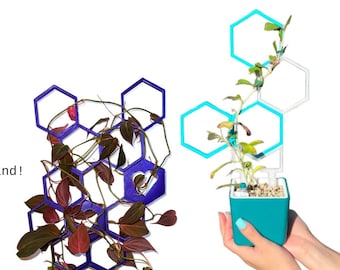 Revolutionary Plant Support System | Customizable Modular Trellis | Treggos | Innovate Your House Plants!