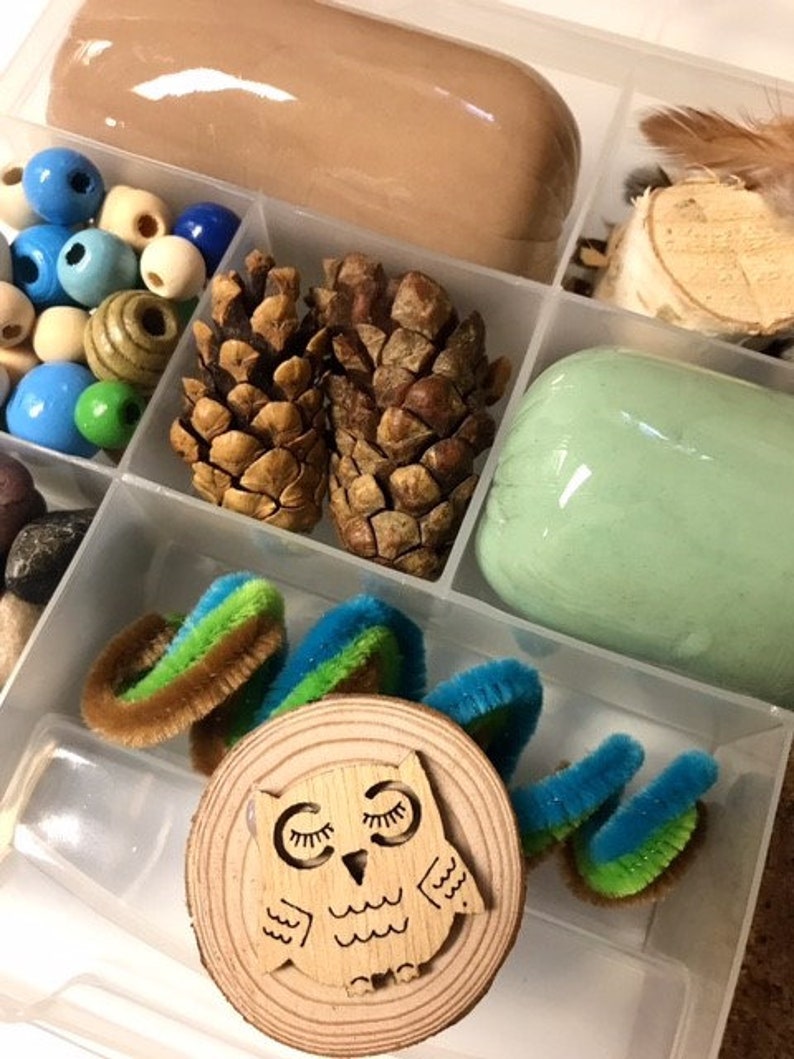 May include: A clear plastic divided container filled with craft supplies. Includes brown playdough, wooden beads, pinecones, green playdough, pipe cleaners, a wooden owl stamp, and a wood slice.