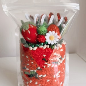 Strawberry Fields Dump and Discover Bag Sensory Filler Sensory Base Sensory Bin Summer