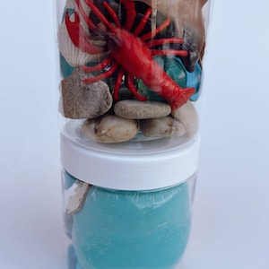 Ocean Sensory Jar: Homemade Playdough, Sea Life Figurines, Party Favors