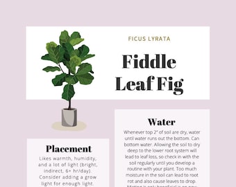 Fiddle Leaf Fig Care Tips & Tracker - Etsy Israel