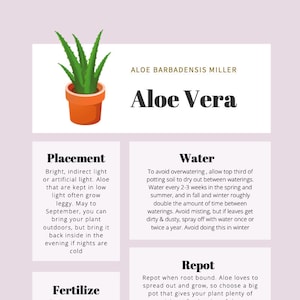 Aloe Vera Plant Care Tips & Tracker