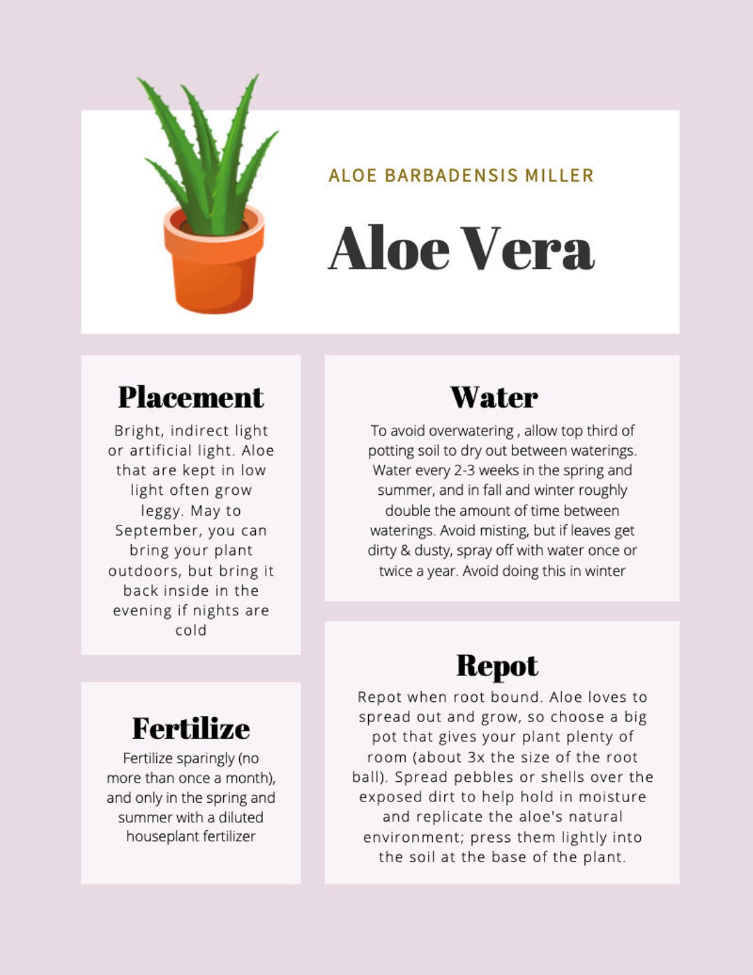 Aloe Vera Plant Care Tips & Tracker - Etsy Finland