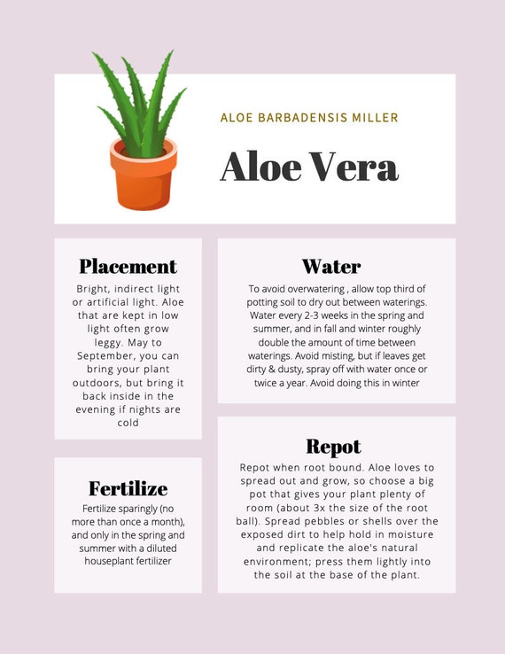 Aloe Vera Plant Care Tips & Tracker Etsy