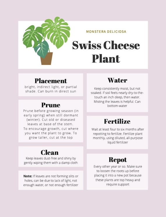 Swiss Cheese Plant Care Tips & Tracker - Etsy