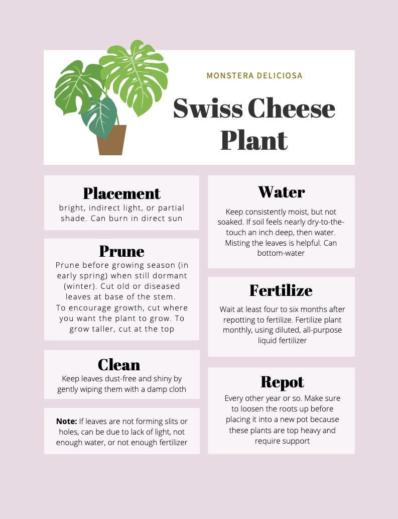 Swiss Cheese Plant Care Tips & Tracker - Etsy