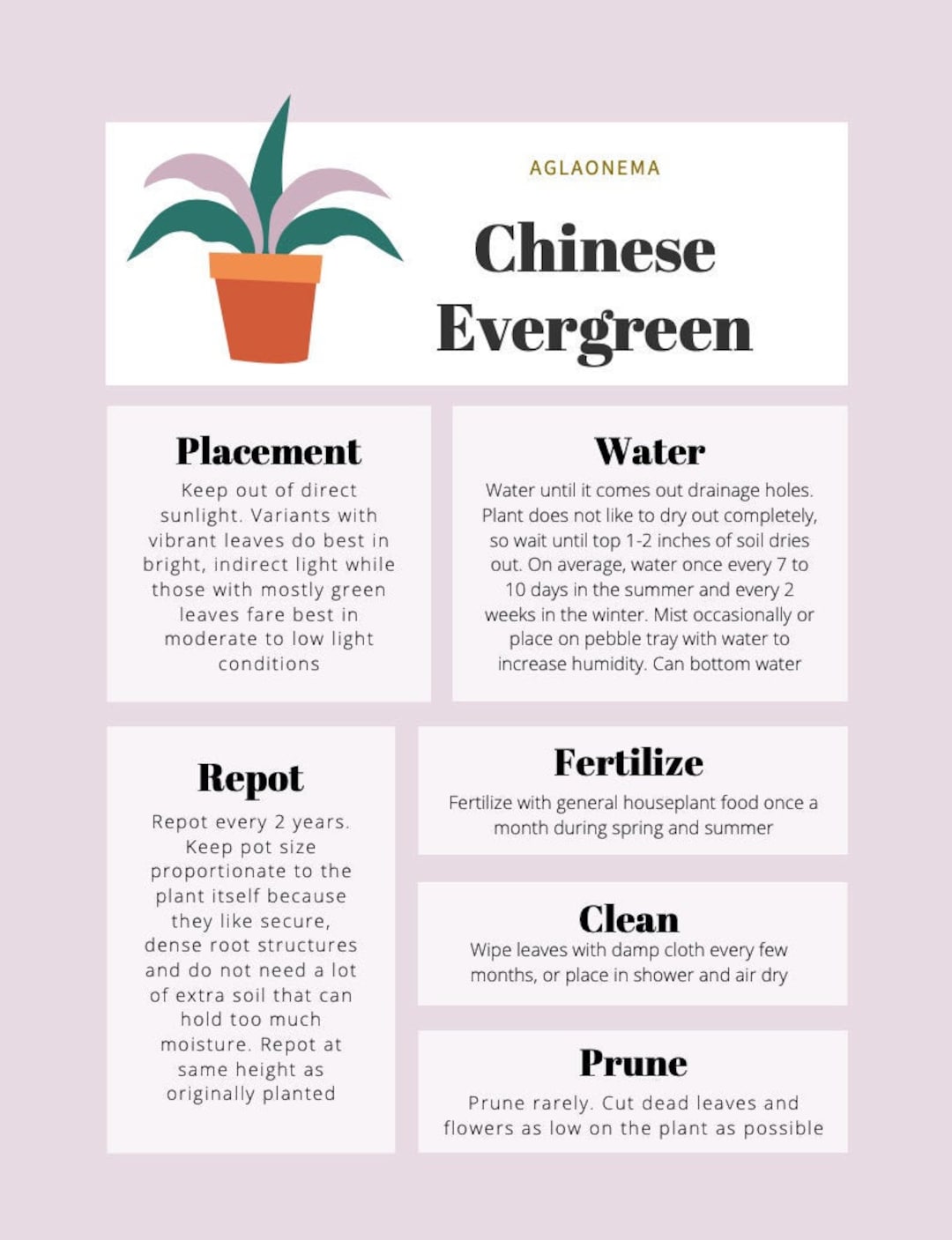 Chinese Evergreen Plant Care Tips & Tracker - Etsy