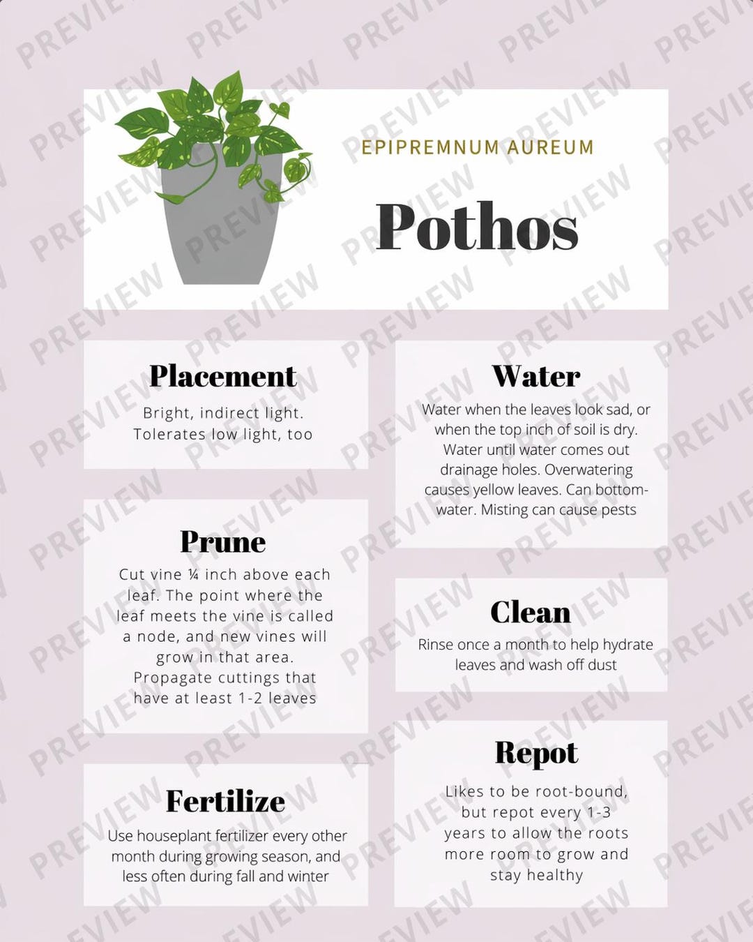 Pothos Care Tips & Tracker - Etsy