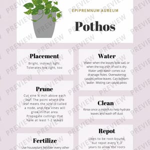 Pothos Care Tips & Tracker - Etsy