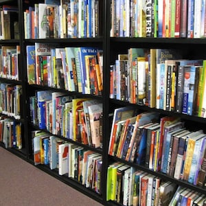 Lot of 20 (Twenty) Children&#39;s Books - Variety - Fiction/Nonfiction