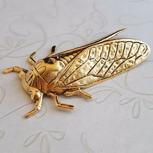 Large Brass Cicada Stampings - 4931RAT