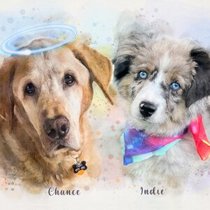 May include: A watercolor painting of two dogs, one a golden retriever with a halo and the other a blue merle Australian Shepherd. The golden retriever is named Chance and the Australian Shepherd is named Indie.