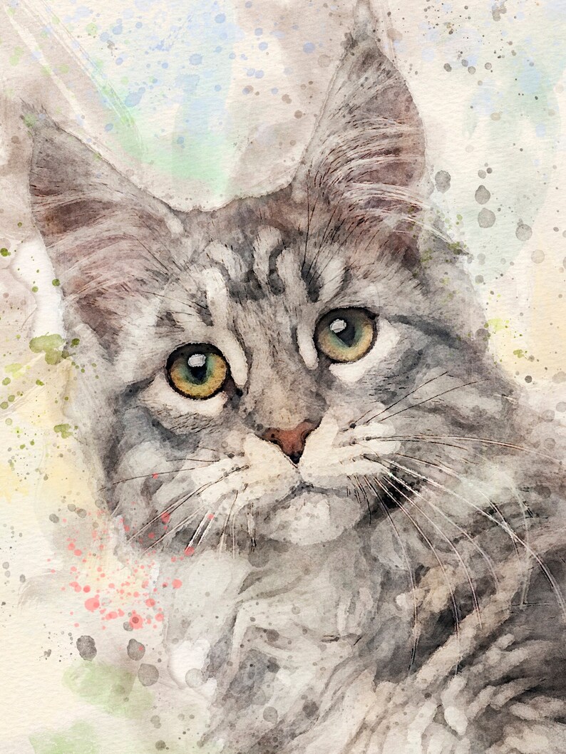 Cat commission artwork. Custom watercolor digital portrait of a tabby cat drawn from a photo. Cat mom gift. Gift for cat owner. Kitten painting. Tabby cat art. turn photo into art. Colorful cat artwork