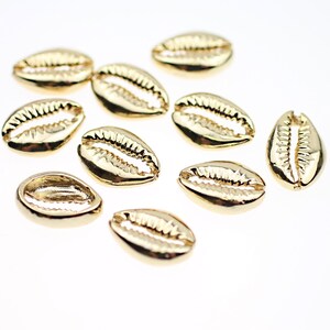Op de afbeelding: Tien gouden cowrie schelpen, een soort schelp, liggen verspreid op een wit oppervlak.