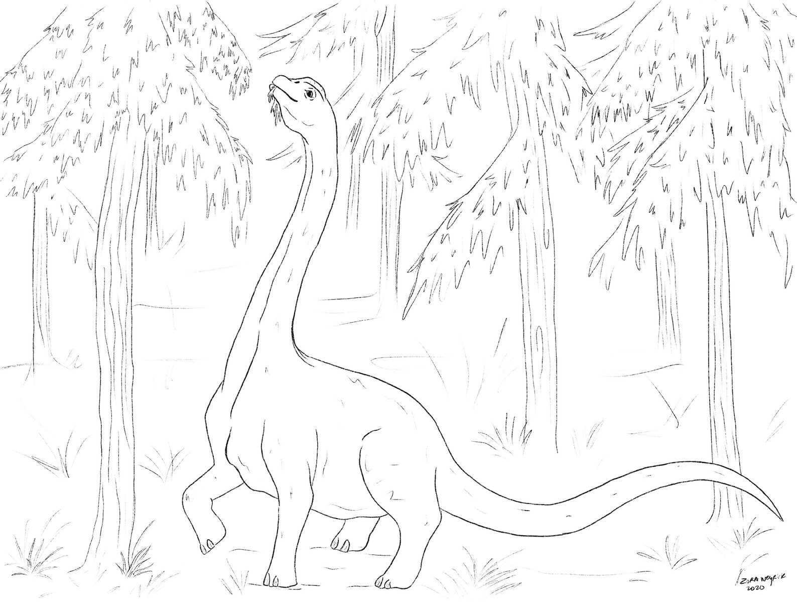 Dinosaur Coloring Sheets - Printable - Etsy