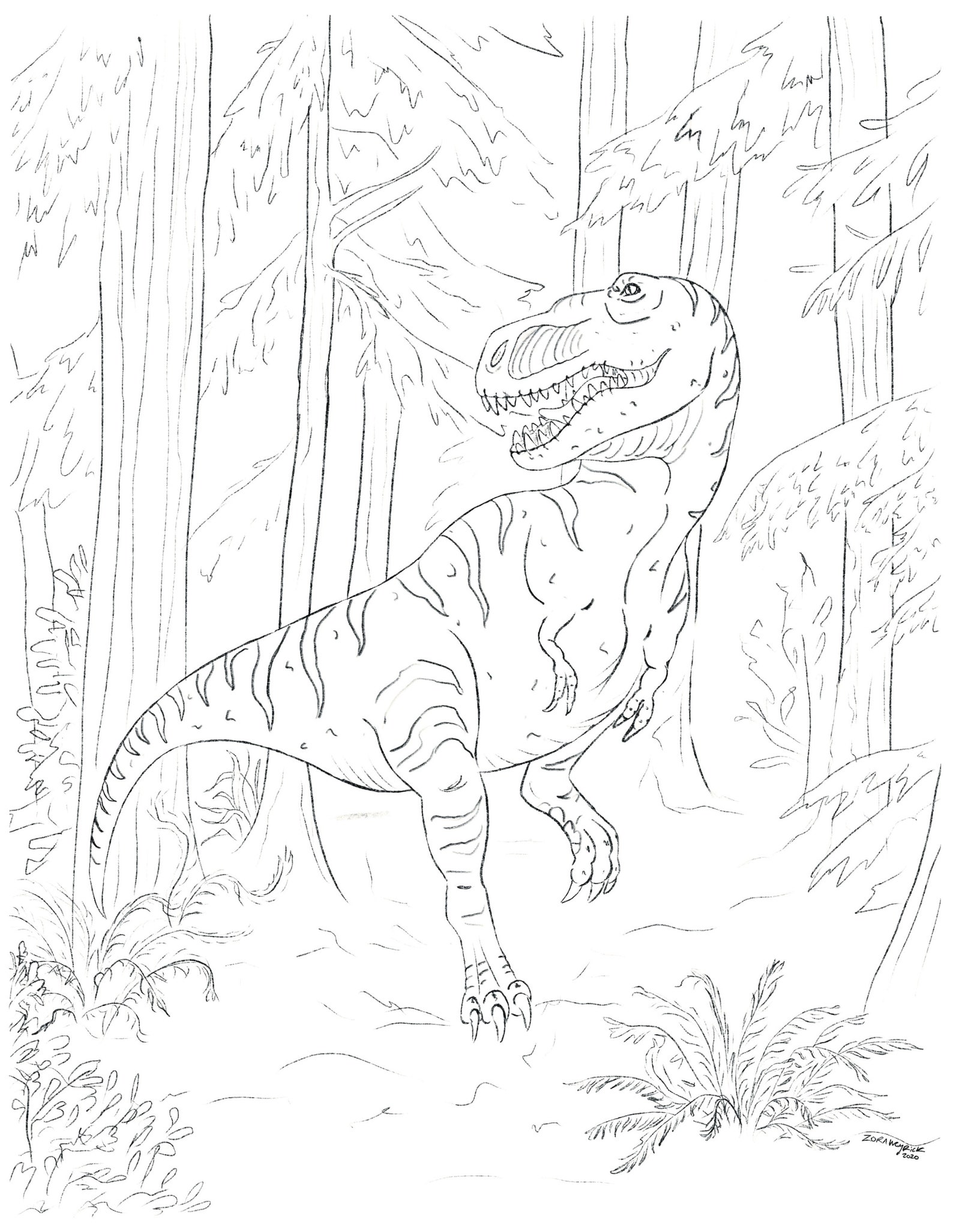 Dinosaur Coloring Sheets - Printable - Etsy