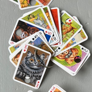 Floss Drops for your Floss, Cats, 13 cards included with ring