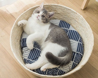 cat with basket