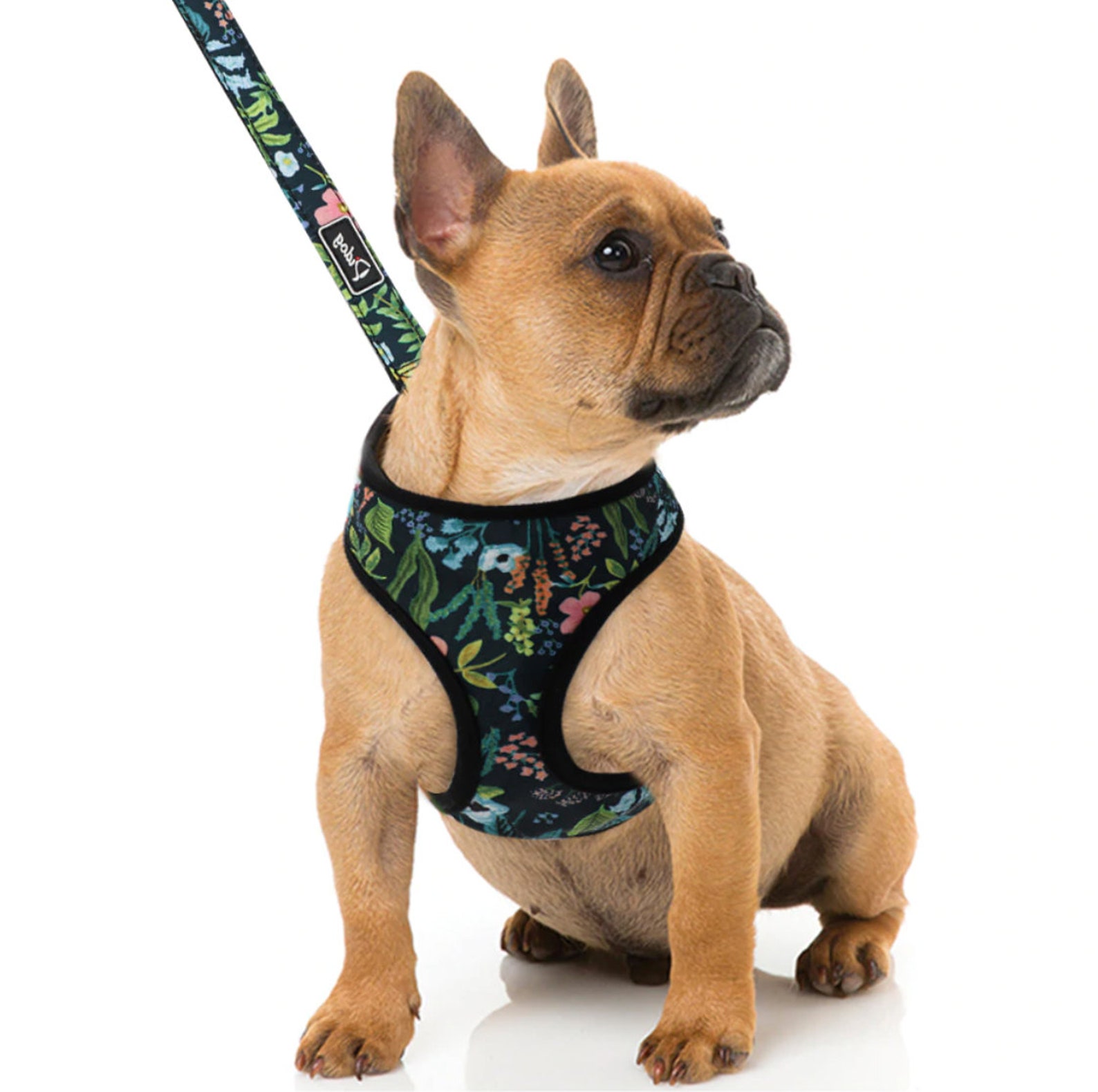 Floral Dog Harness Floral Dog Leash No Pull Harness Floral Etsy