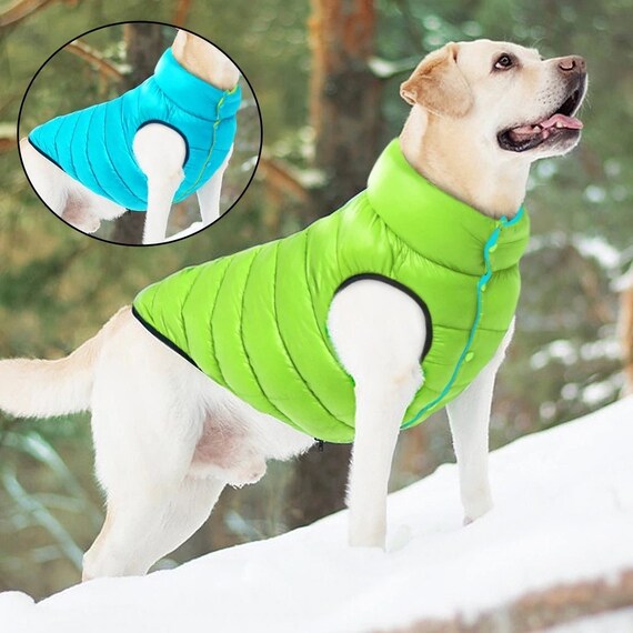 reversible dog coat