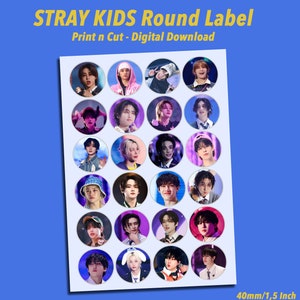 Druckbare Stray Kids Aufkleber, Etikettenbogen, Cupcake Topper, Stray Kids Cake Topper, Stray Kids Geburtstag, Stray Kids Party