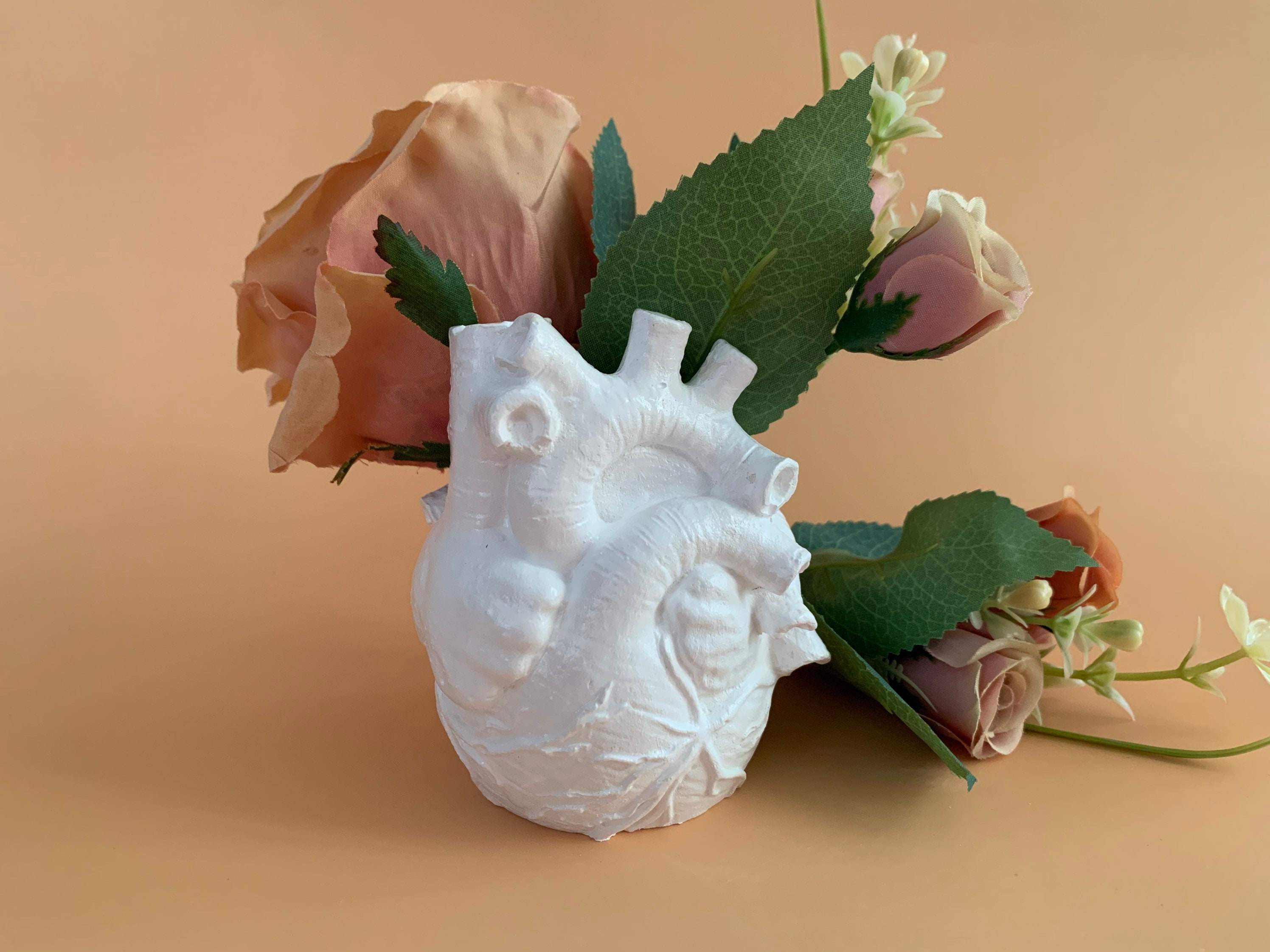 Vase Cœur Anatomique en Plâtre de Paris Pour Les Fleurs Sèches Vase Blanc Moderne Artisanale Origina