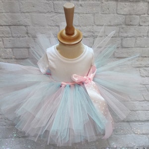 Feenkostüm, Tutu-Rock für Kinder in Pastellfarben, rosa und blauer Tüll, Feenflügel. Geburtstags-Tutu, Karnevalskostüm Bild 8