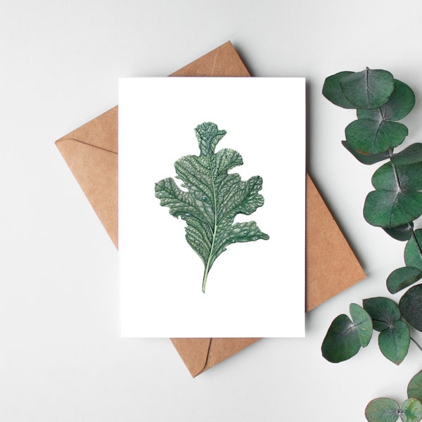 Kale Leaf Postcard-Watercolor Botanical Notecard-Nature Illustrated-A6 Floral Botanical Art Card - Small Art Print