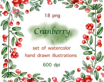 Aquarel Cranberry Set | Berries Clipart Botanische Illustratie | Individuele digitale PNG-bestanden.