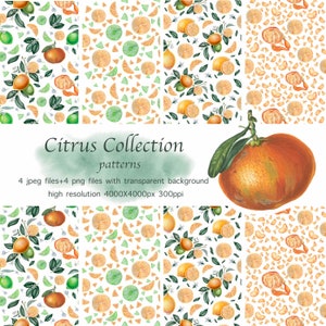Citrus Seamless Patterns, Botanical And Food Background, Scrapbooking Digital Paper.