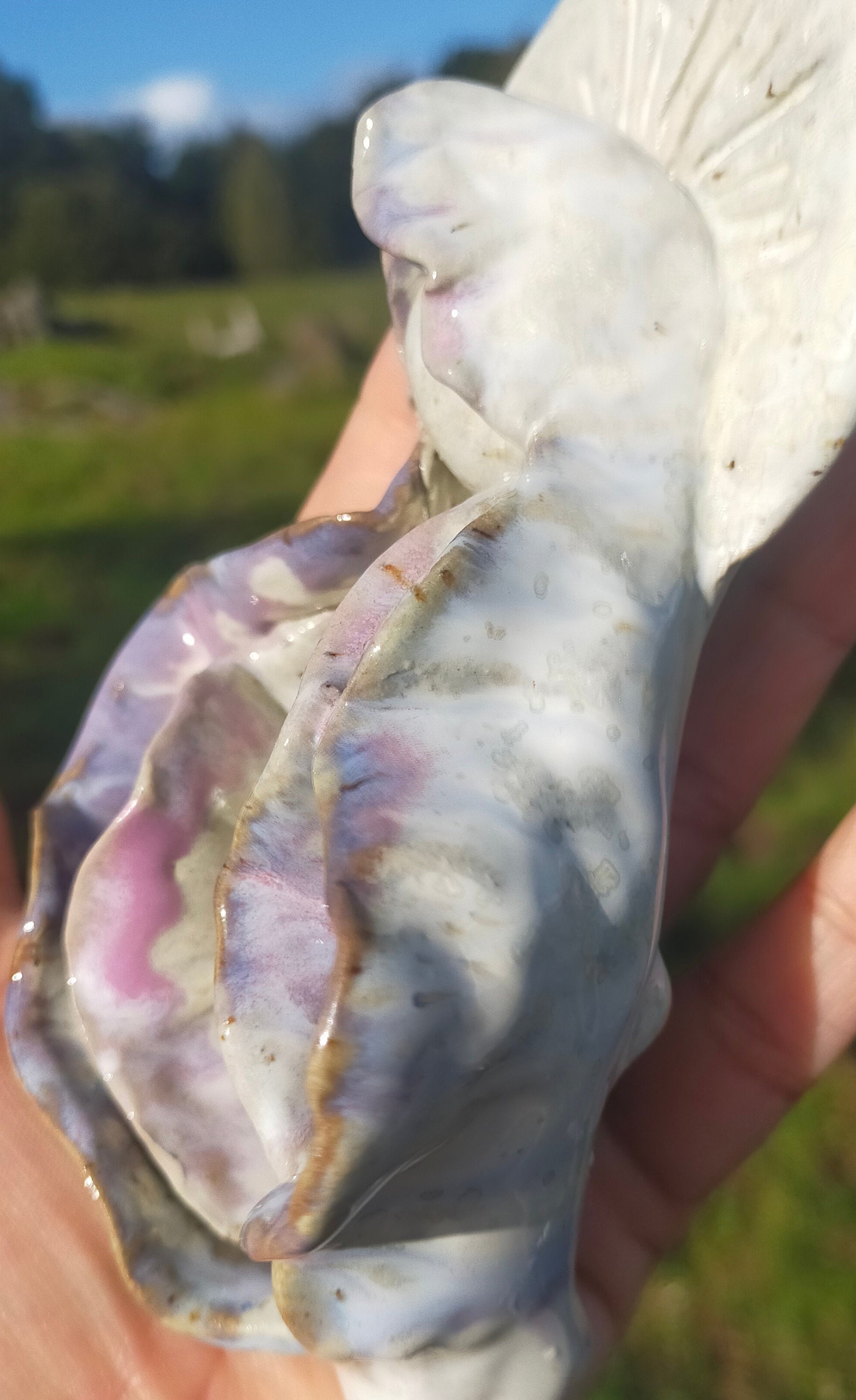 Ceramic Luminious Vulva Wall Art Etsy