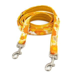 Of Bears And Foxes Leash Orange Love
