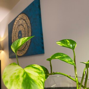 Puede incluir: Una planta verde y blanca variegada con hojas en un jarr&oacute;n de vidrio transparente. La planta est&aacute; delante de una pintura de lienzo azul y dorada con un dise&ntilde;o circular.