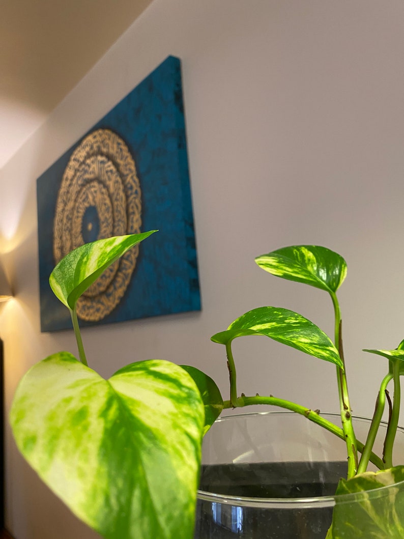 Puede incluir: Una planta verde y blanca variegada con hojas en un jarr&oacute;n de vidrio transparente. La planta est&aacute; delante de una pintura de lienzo azul y dorada con un dise&ntilde;o circular.