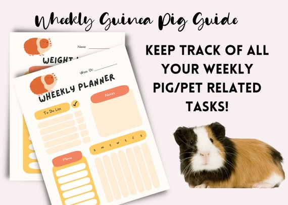 Checklist Hamster Shopping List Things Needed For Hamster 2025