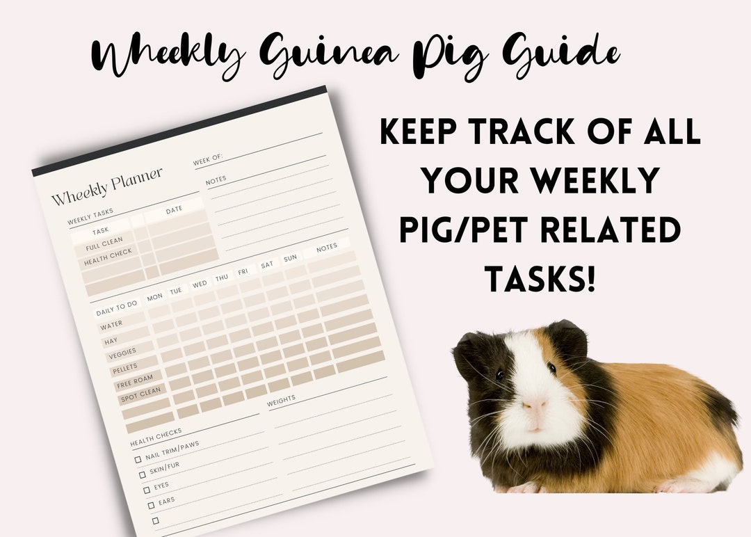 Weekly Planning Page for Guinea Pigs Printable Weekly Tracker Small Pet ...
