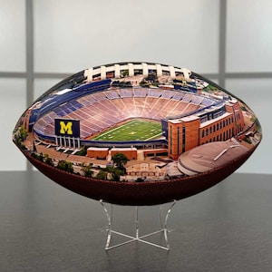 Michigan Stadium Football University Series
