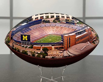 Michigan Stadium Football University Series