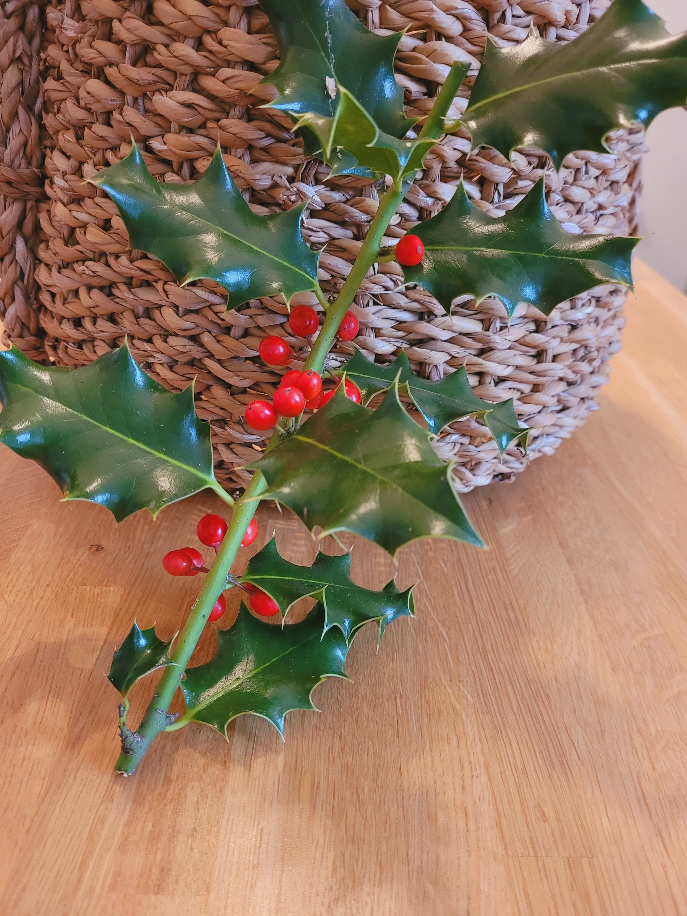 Houx de Noël Nouvel An Décoration Fête Ornement Table Vegetal