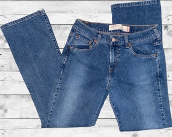 levis 673