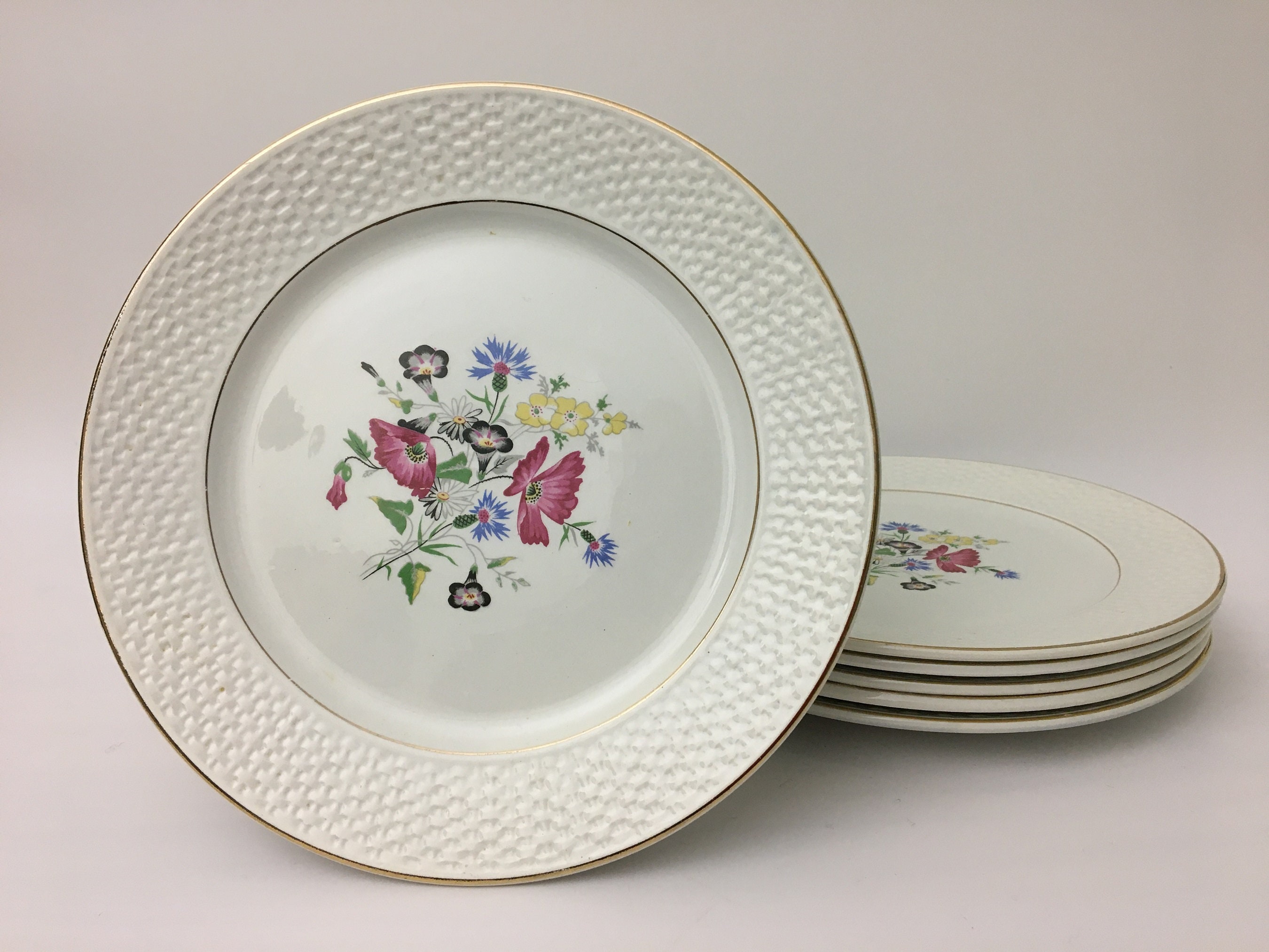 6 Assiettes Plates Digoin Sarreguemines Modèle Floralies.