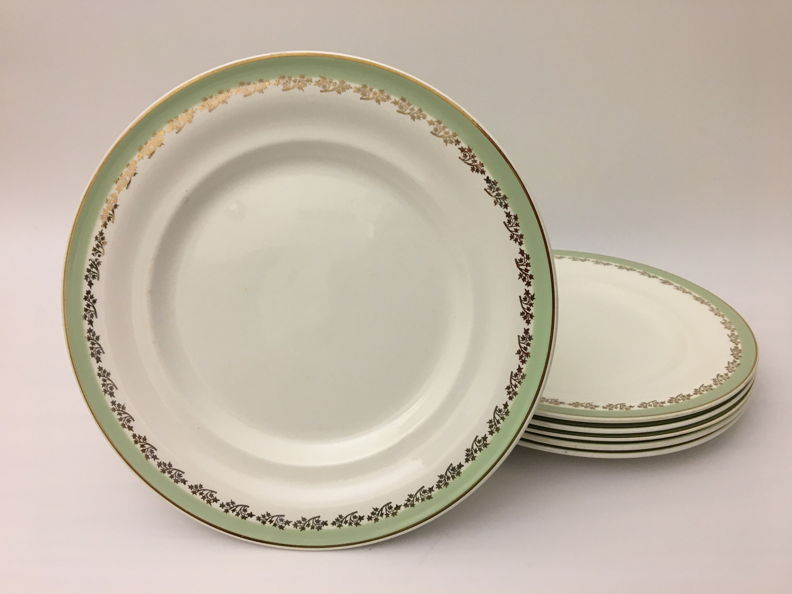 6 Assiettes Plates Saintonge en Demi-Porcelaine