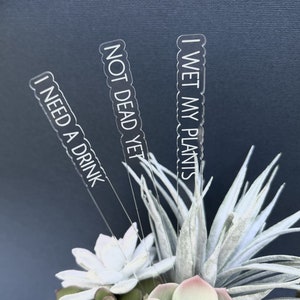 Funny Plant Stakes | Plant Stakes | Acrylic Plant Stakes | Plants | Funny Plant