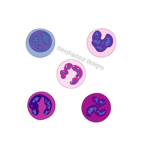 White Blood Cell Designs Svg|Png|Pdf|Dxf|Eps | Laboratory | Hematology  | Hand Drawn Digital Download| Clinical Lab Scientist