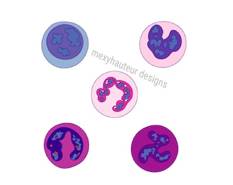 May include: Five different illustrations of cells with purple and blue nuclei. The cells are surrounded by a pink, purple, or blue circle. The text "mexyhauteur designs" is written below the cells.