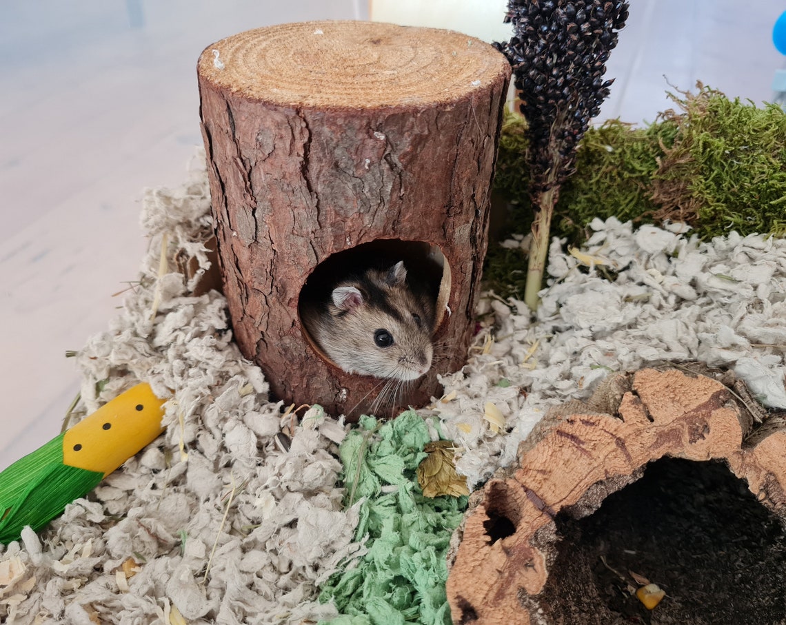 Hamster Spray Bundle Variation Box 100gr Huisdiervoer & Etsy