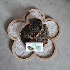 Słoneczniki 100g - idealne do żerowania - dla chomików i innych gryzoni