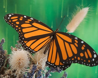 Monarch Butterfly Paper Model – DIY Laser Cut Files (Digital Download)