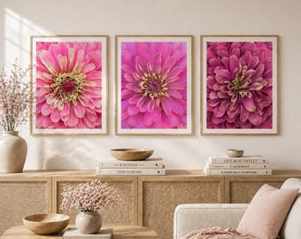 Set di 3 stampe da parete "Petali arrossati / Zinnie rosa", fotografie floreali, decorazioni botaniche rosa tenue, arte da giardino in stile cottage.