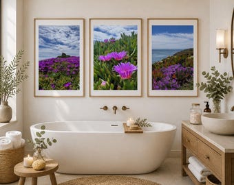 Set di 3 quadri da parete con motivo "California Ice Plant", fotografia di fiori costieri, stampe botaniche viola, decorazioni a tema spiaggia di ciottoli, arte murale naturalistica.